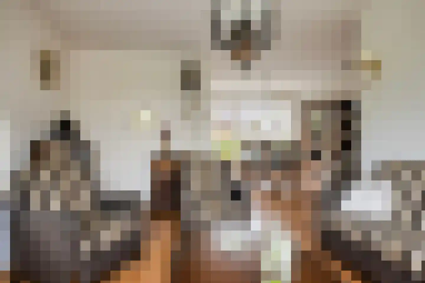 Elzenstraat 52 Kampen thumbnail 4