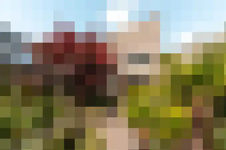 Elzenstraat 6 Almere thumbnail 6