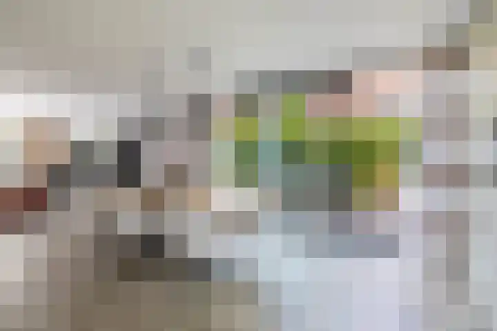 Elzenstraat 6 Schoonhoven thumbnail 14