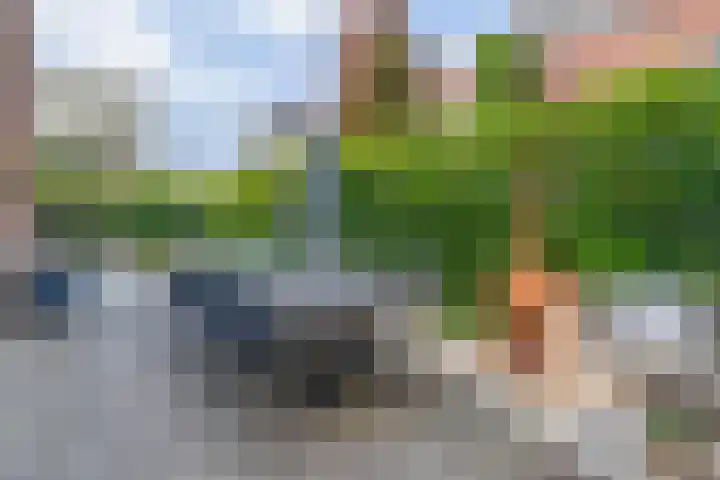 Elzenstraat 6 Schoonhoven thumbnail 40