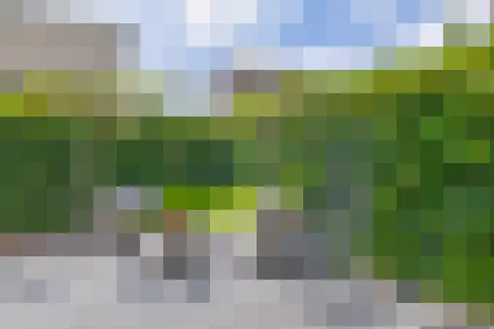 Elzenstraat 6 Schoonhoven thumbnail 42