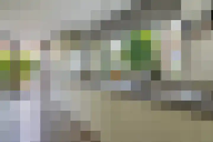 Elzenstraat 6 Schoonhoven thumbnail 5