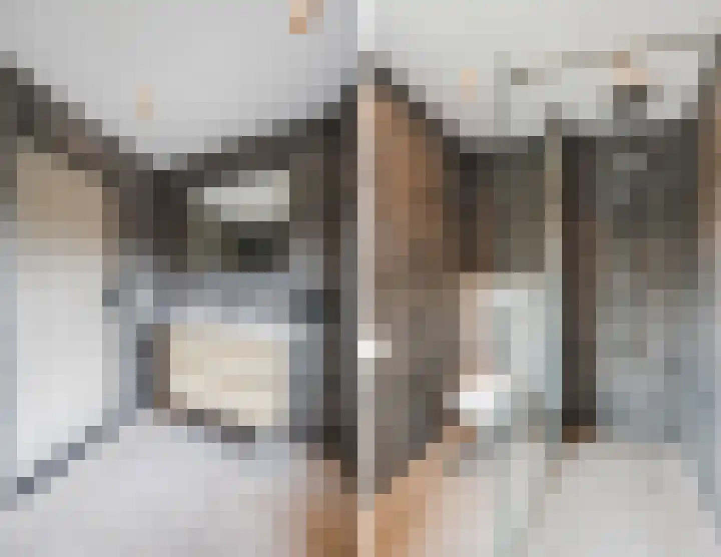 Elzenstraat 8 Heerle thumbnail 36