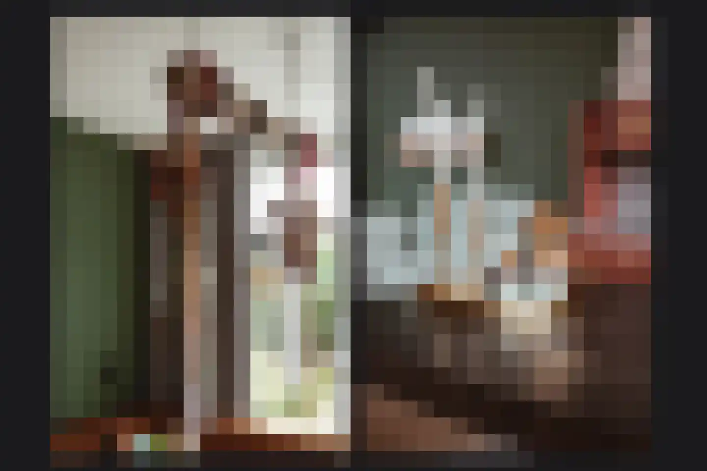 Elzenstraat 86 Brakel thumbnail 11