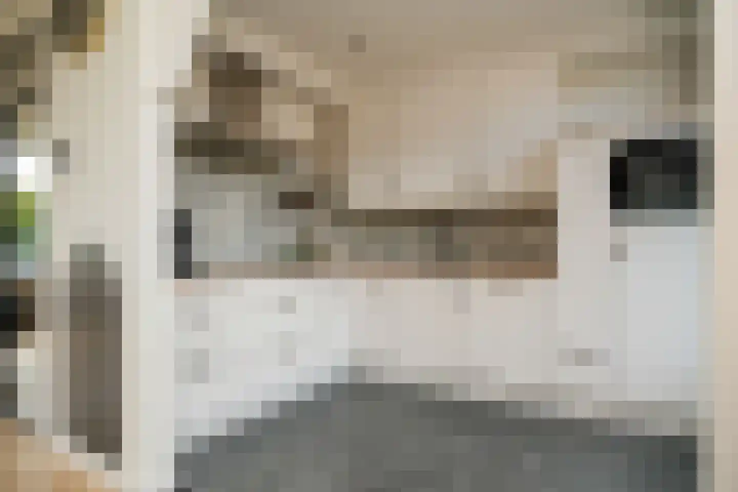 Elzenstraat 86 Brakel thumbnail 14