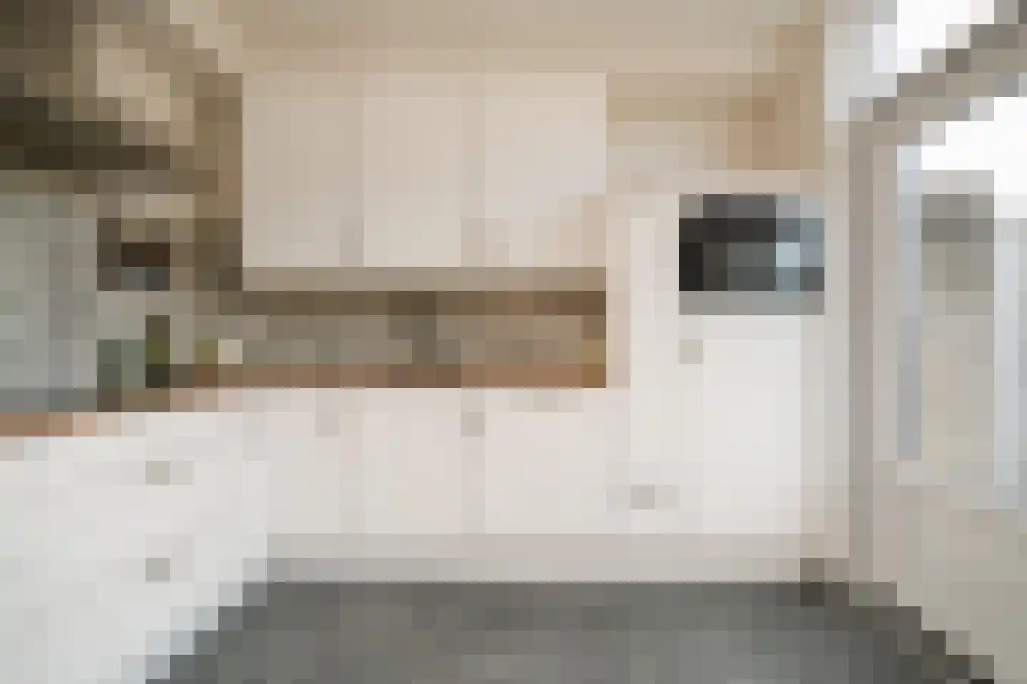 Elzenstraat 86 Brakel thumbnail 16