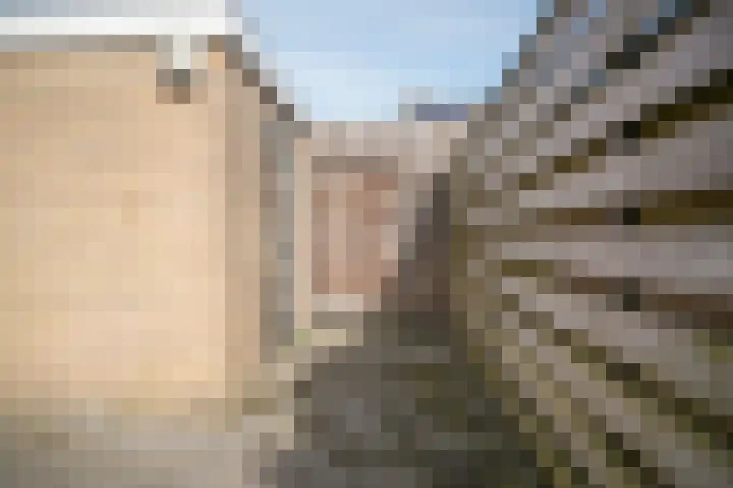 Elzenstraat 86 Brakel thumbnail 32