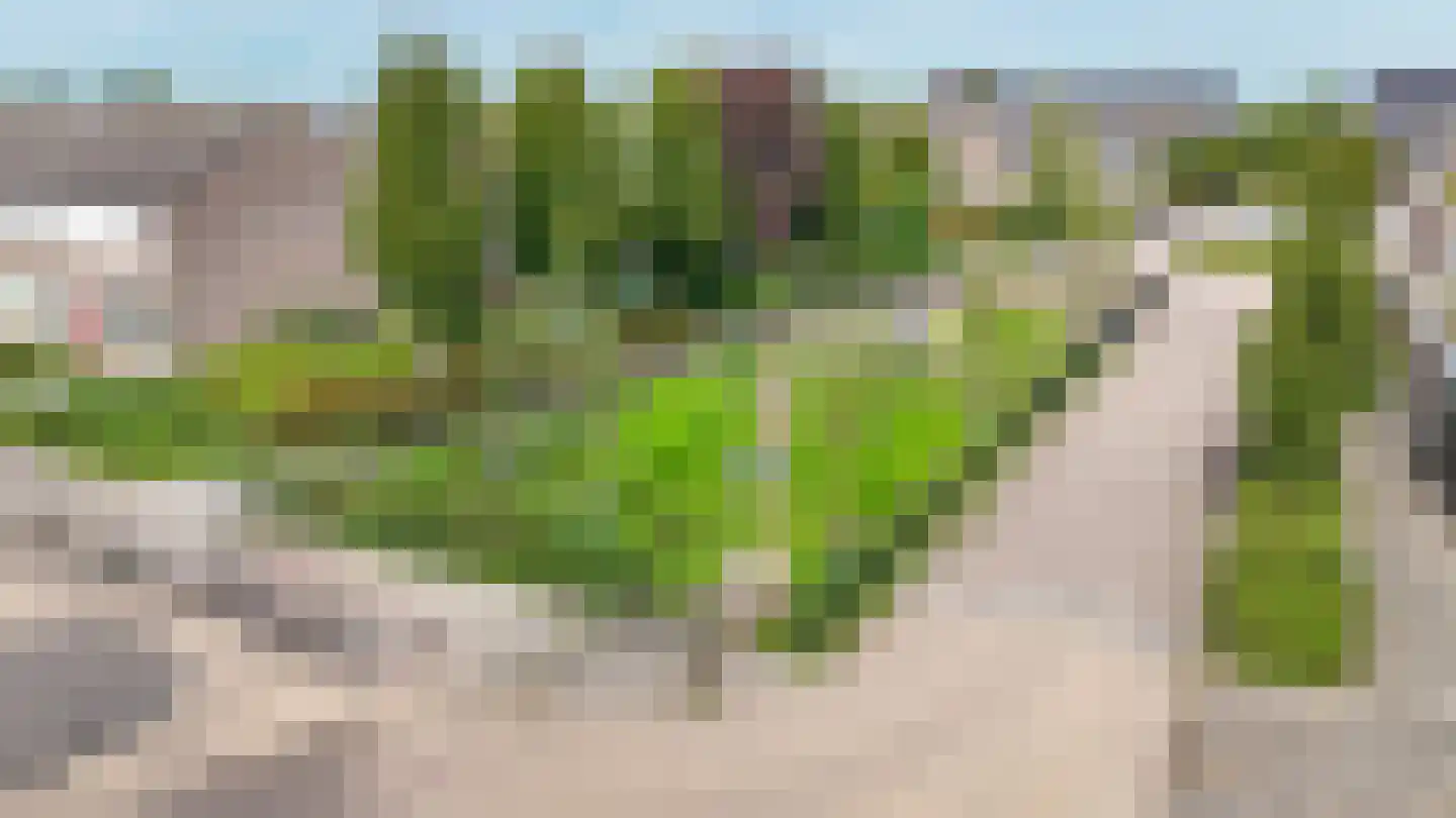 Elzenstraat 86 Brakel thumbnail 37