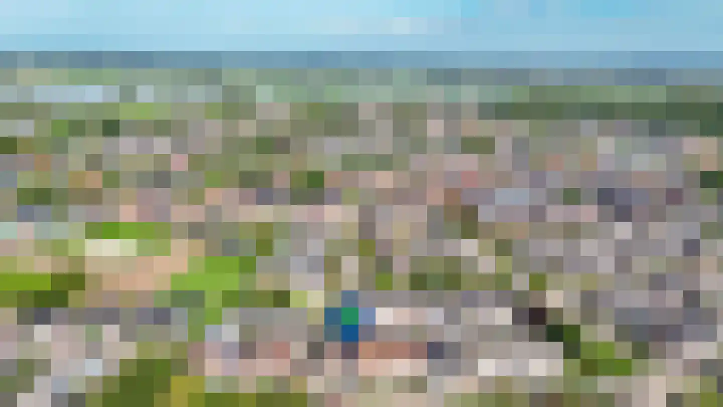 Elzenstraat 86 Brakel thumbnail 39