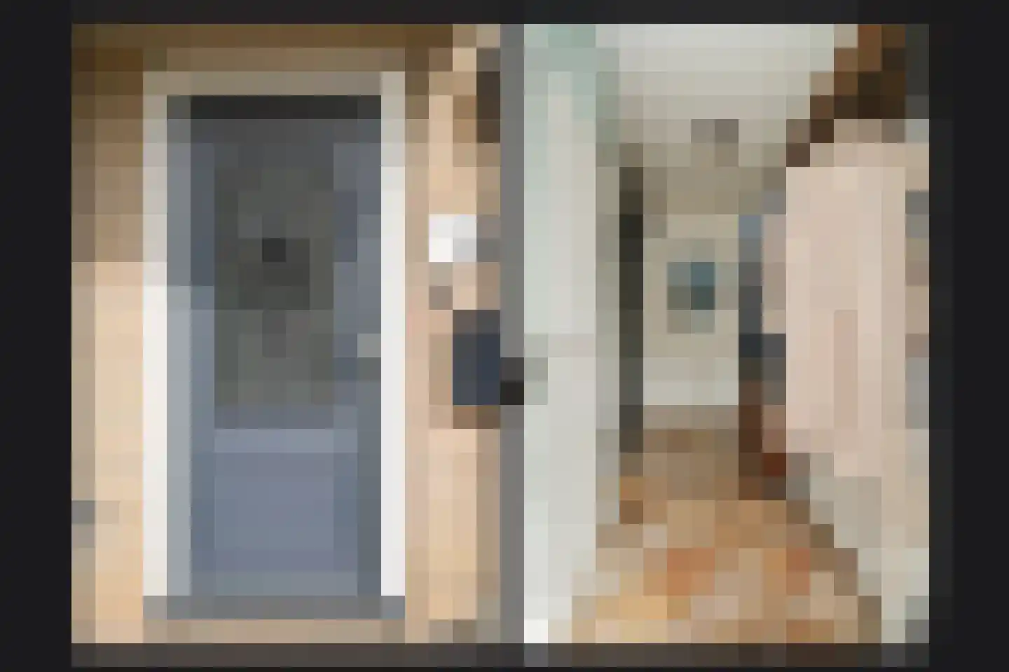 Elzenstraat 86 Brakel thumbnail 5