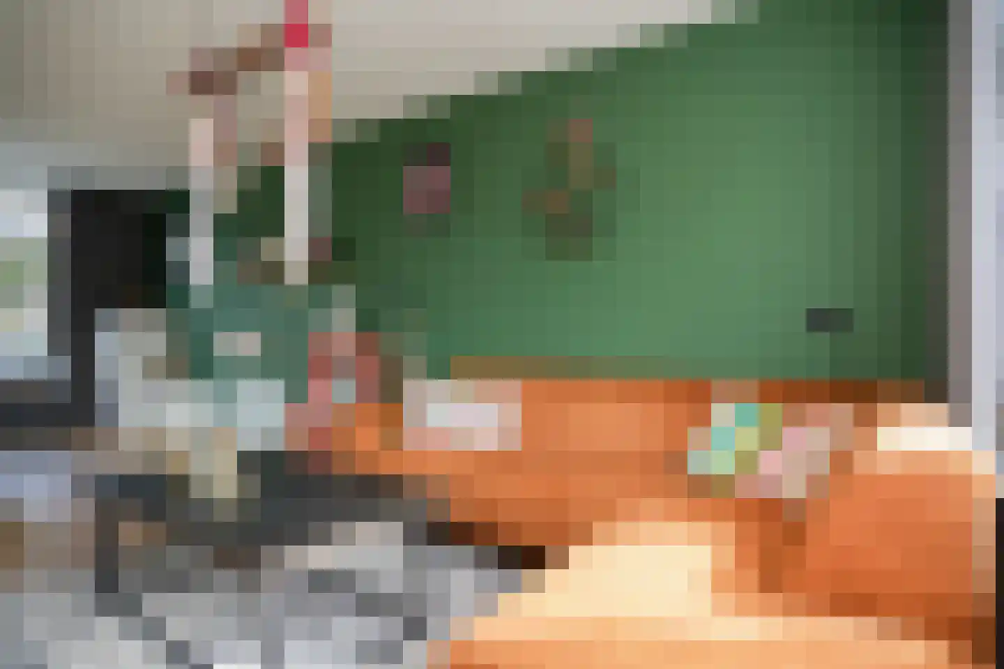 Elzenstraat 86 Brakel thumbnail 8