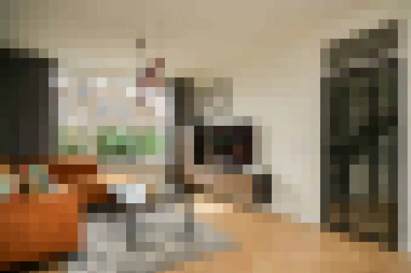 Elzenstraat 86 Brakel thumbnail 9