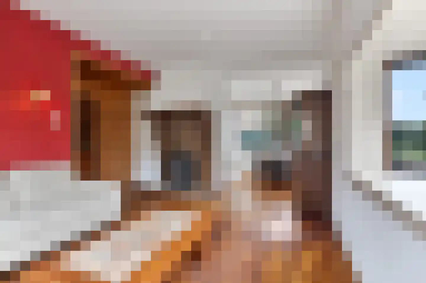 Elzenstraat 87 Den Helder thumbnail 10