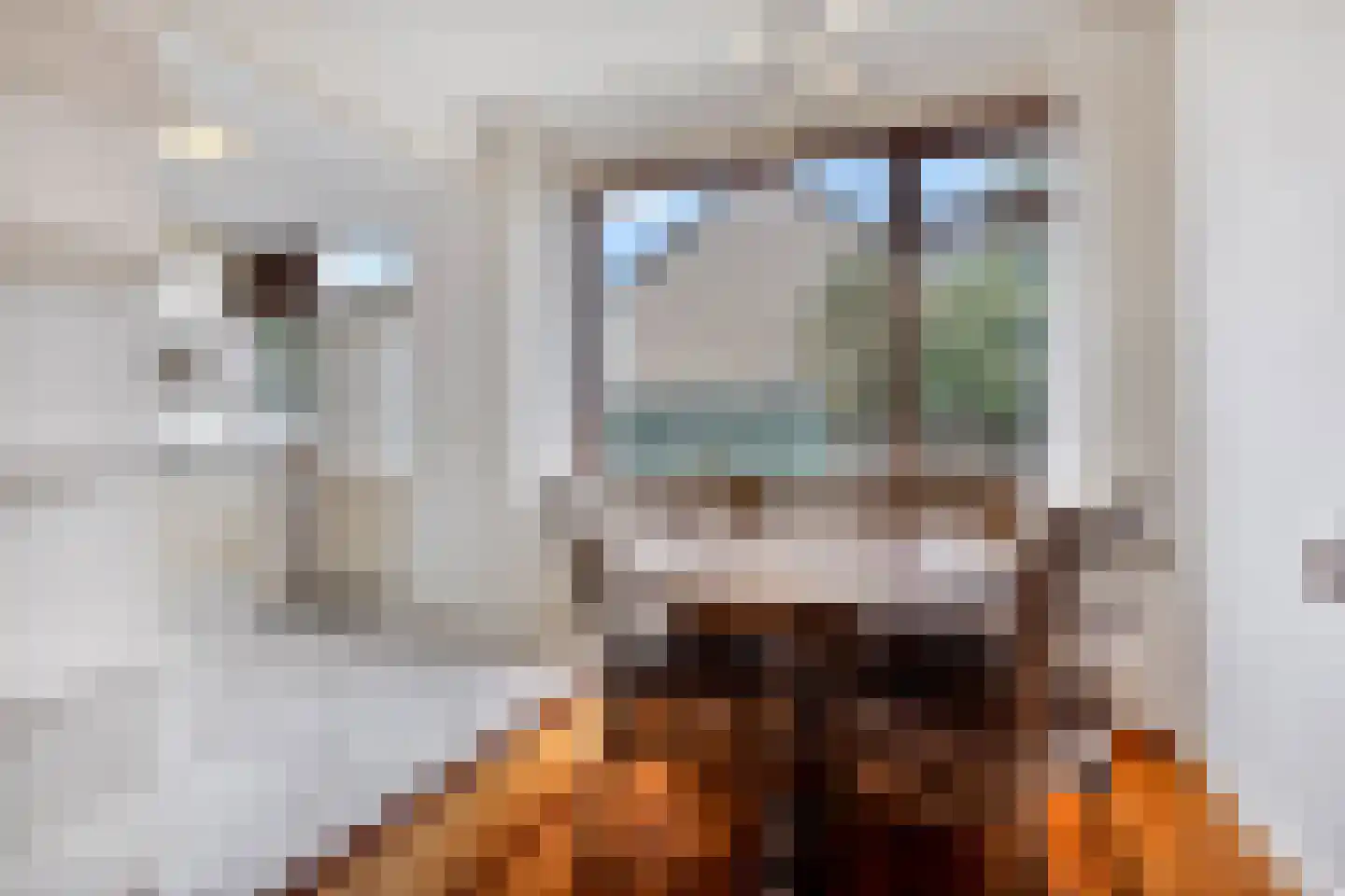 Elzenstraat 87 Den Helder thumbnail 12