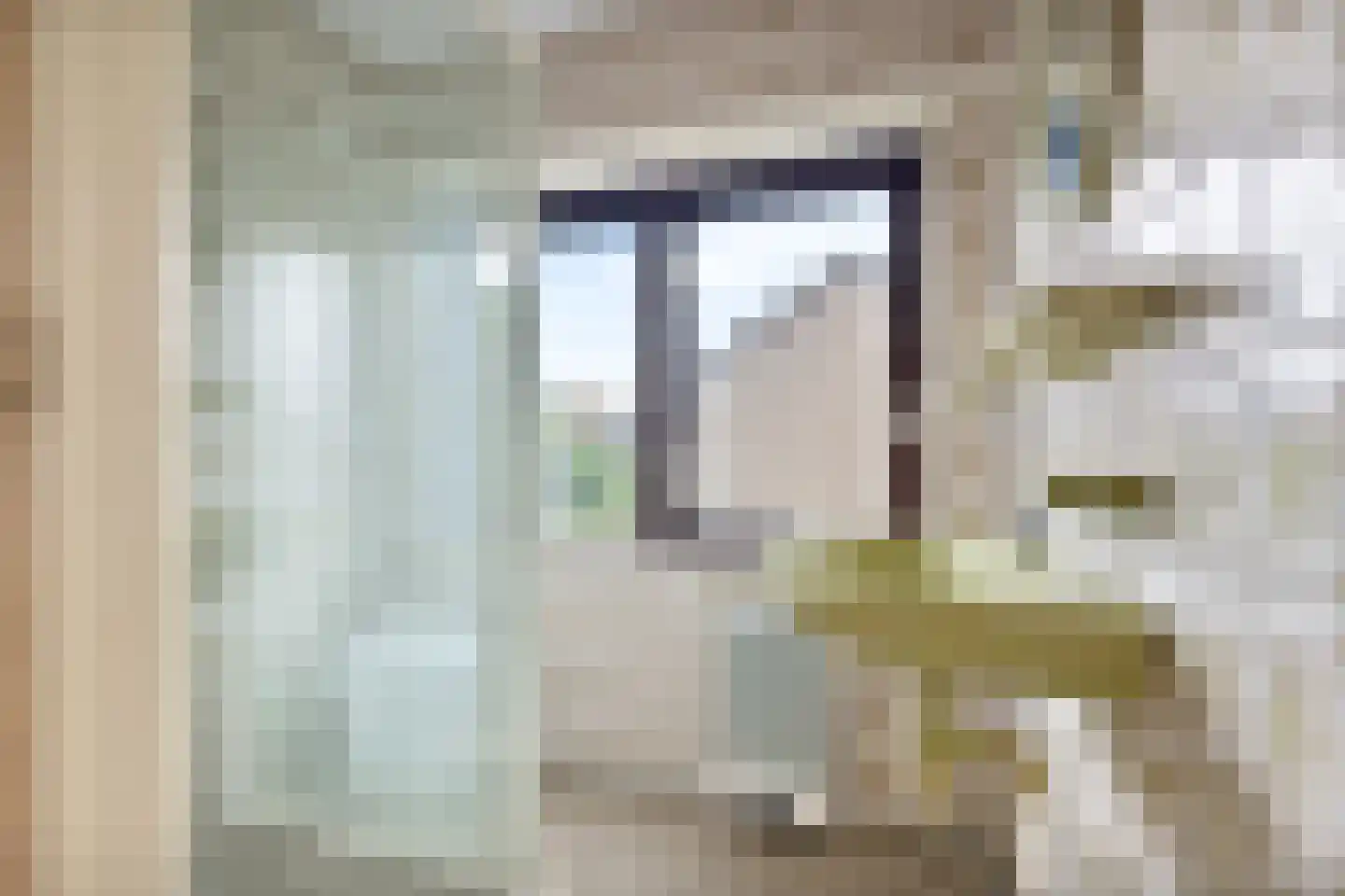 Elzenstraat 87 Den Helder thumbnail 22