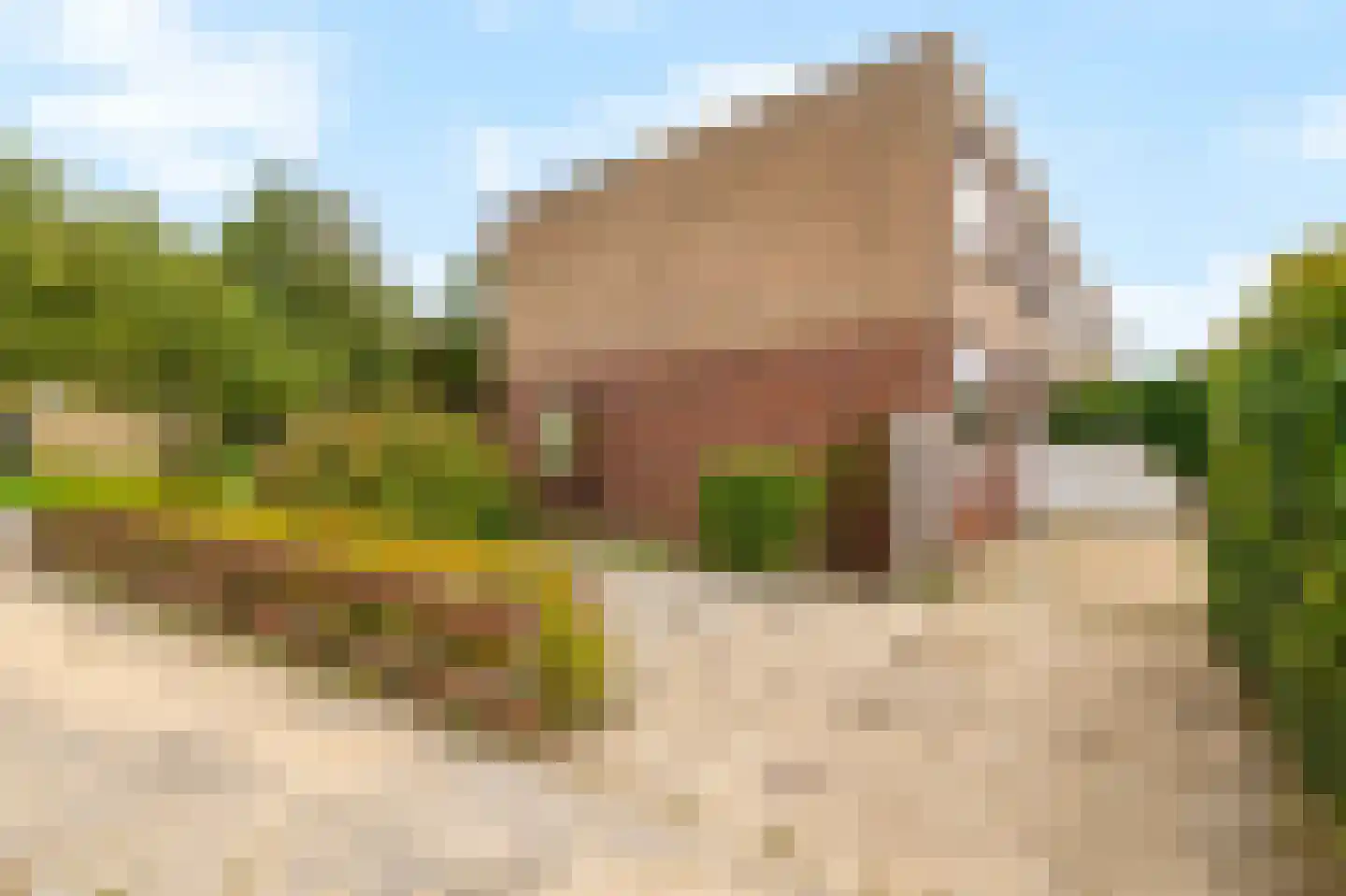 Elzenstraat 87 Den Helder thumbnail 4
