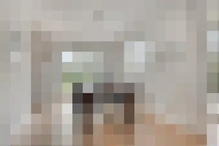 Elzent 22 Gemert thumbnail 11