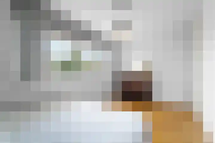 Elzent 22 Gemert thumbnail 19