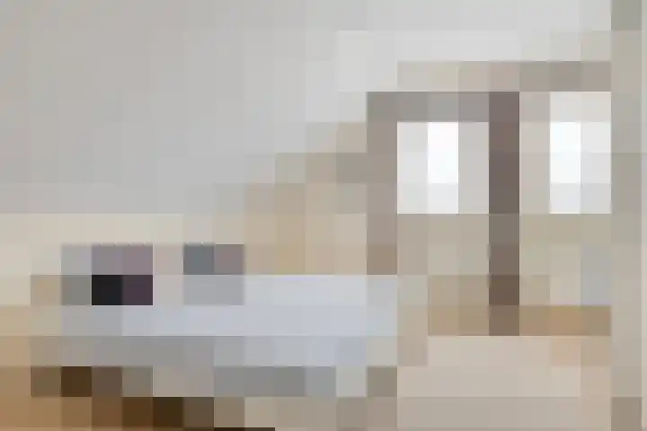Elzent 22 Gemert thumbnail 20