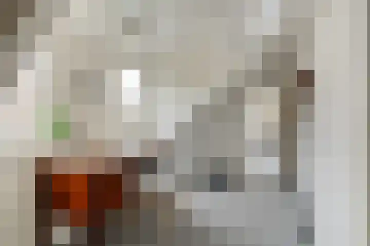 Elzent 22 Gemert thumbnail 26
