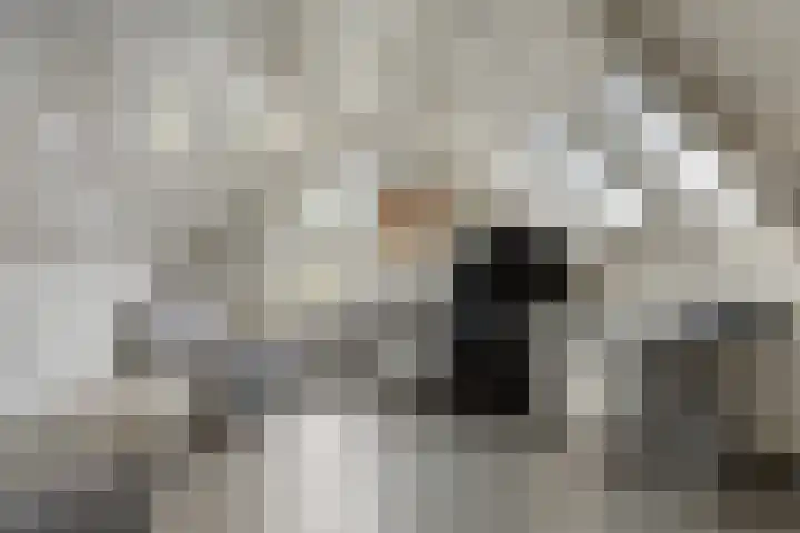 Elzent 22 Gemert thumbnail 28
