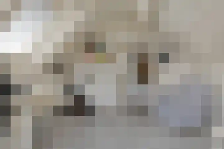 Elzent 22 Gemert thumbnail 29