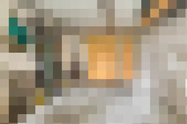 Elzent 22 Gemert thumbnail 30