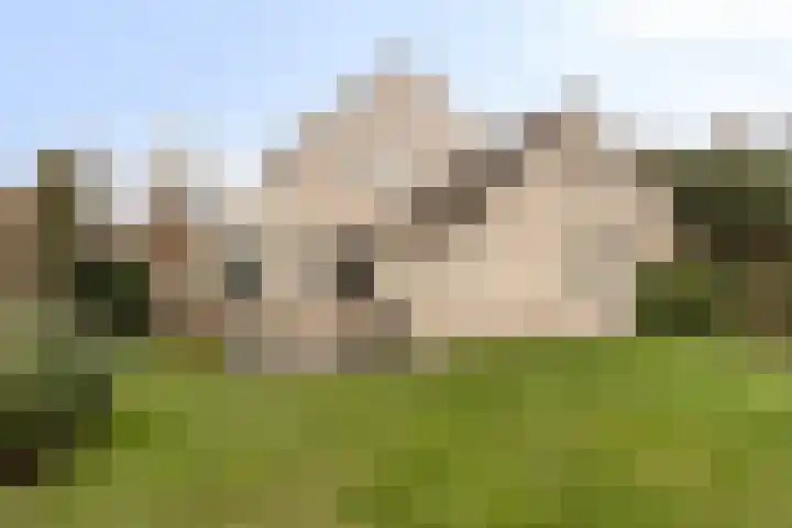 Elzent 22 Gemert thumbnail 31
