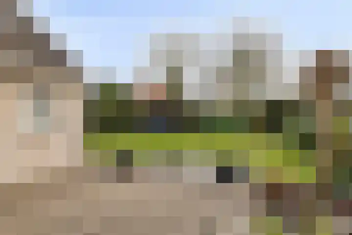 Elzent 22 Gemert thumbnail 33