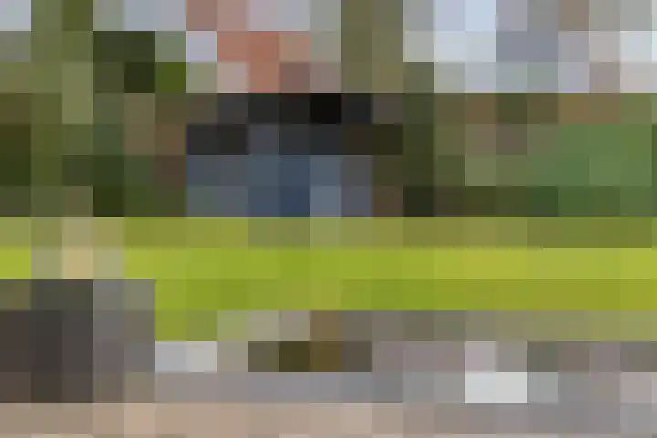 Elzent 22 Gemert thumbnail 35