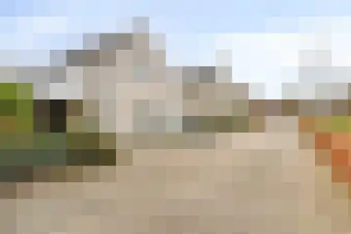 Elzent 22 Gemert thumbnail 39