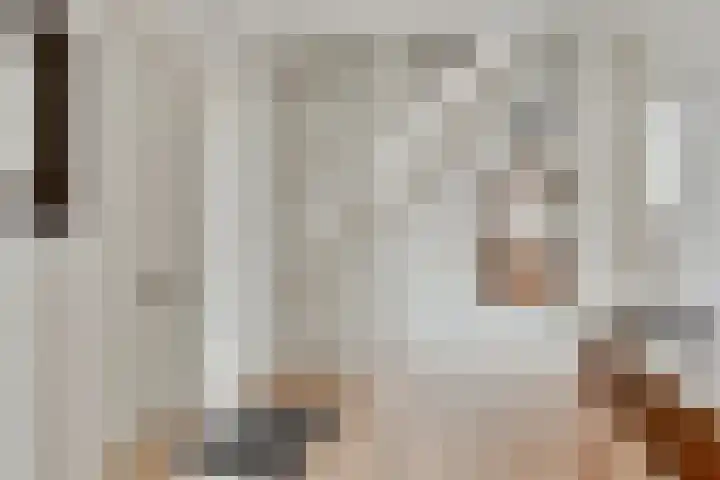 Elzent 22 Gemert thumbnail 4