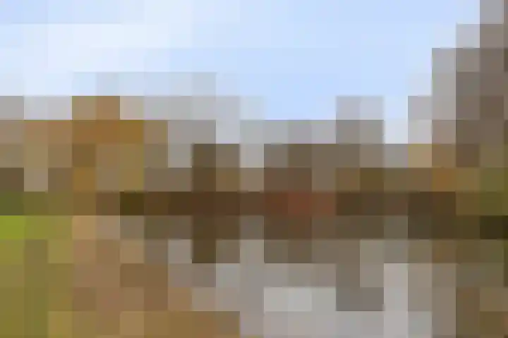 Elzent 22 Gemert thumbnail 40