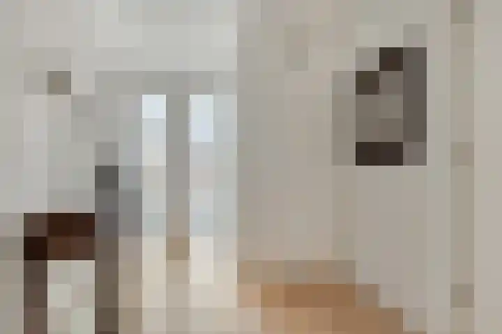 Elzent 22 Gemert thumbnail 5