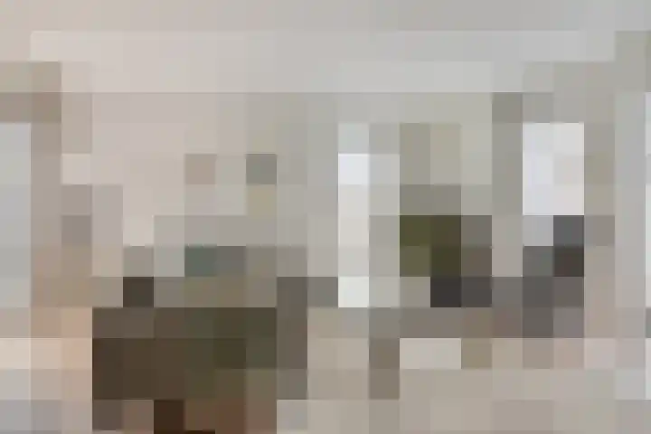 Elzent 22 Gemert thumbnail 7