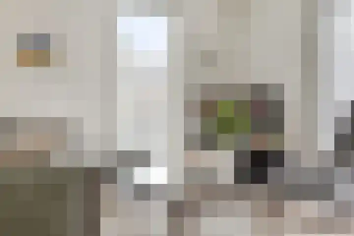 Elzent 22 Gemert thumbnail 9