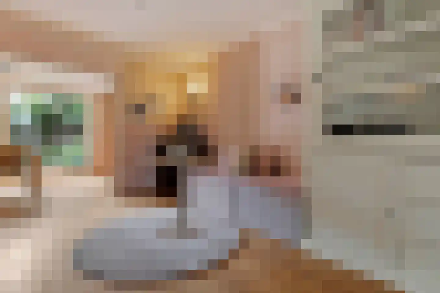 Elzent 27 Gemert thumbnail 10
