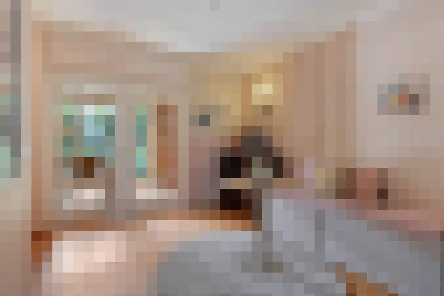 Elzent 27 Gemert thumbnail 12