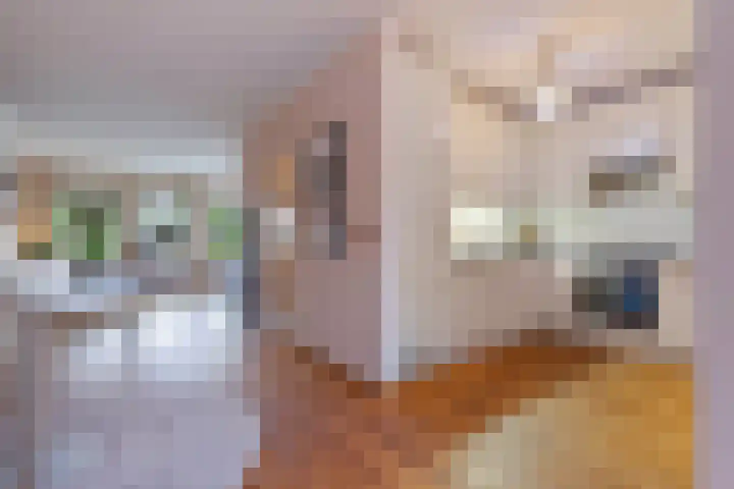 Elzent 27 Gemert thumbnail 13