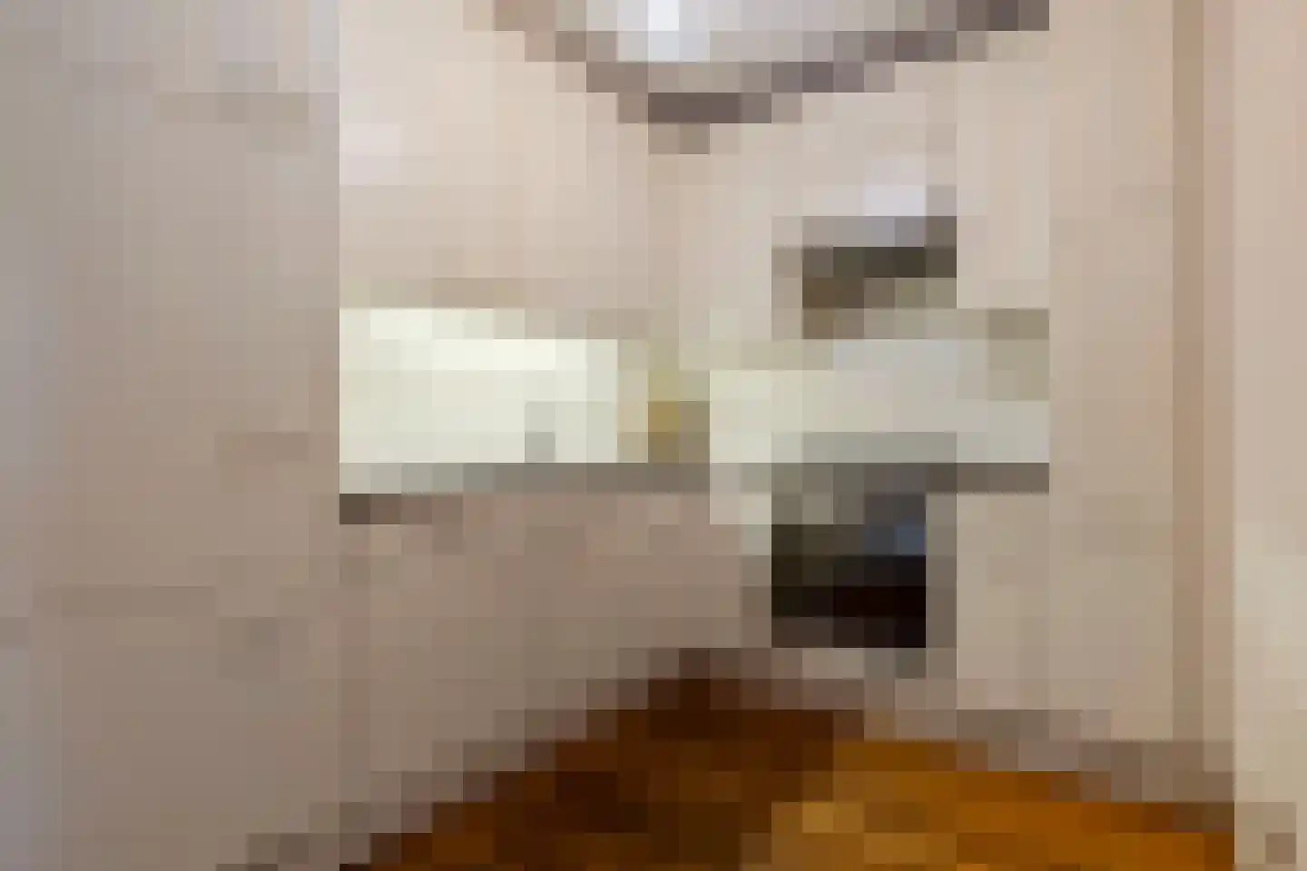 Elzent 27 Gemert thumbnail 15