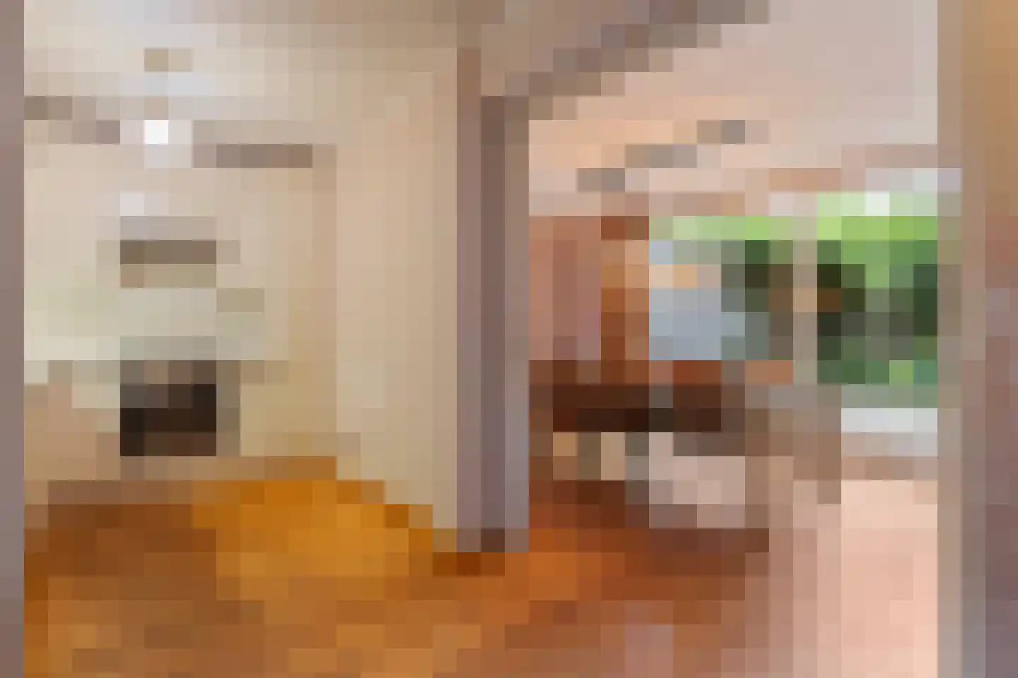 Elzent 27 Gemert thumbnail 17