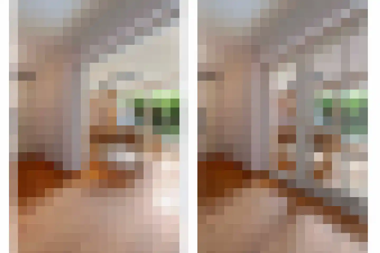 Elzent 27 Gemert thumbnail 18