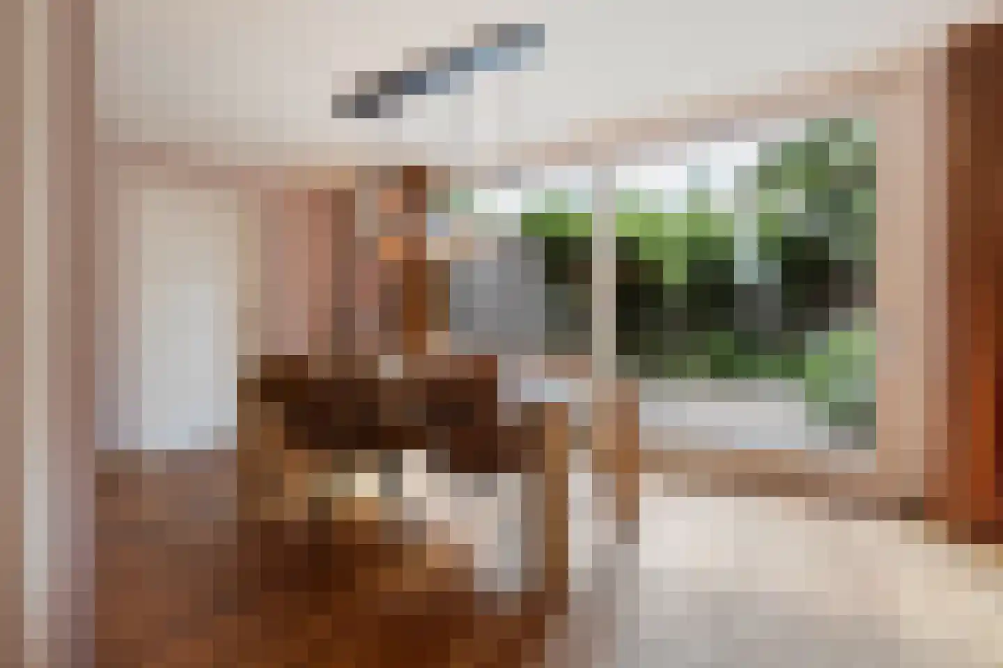Elzent 27 Gemert thumbnail 19