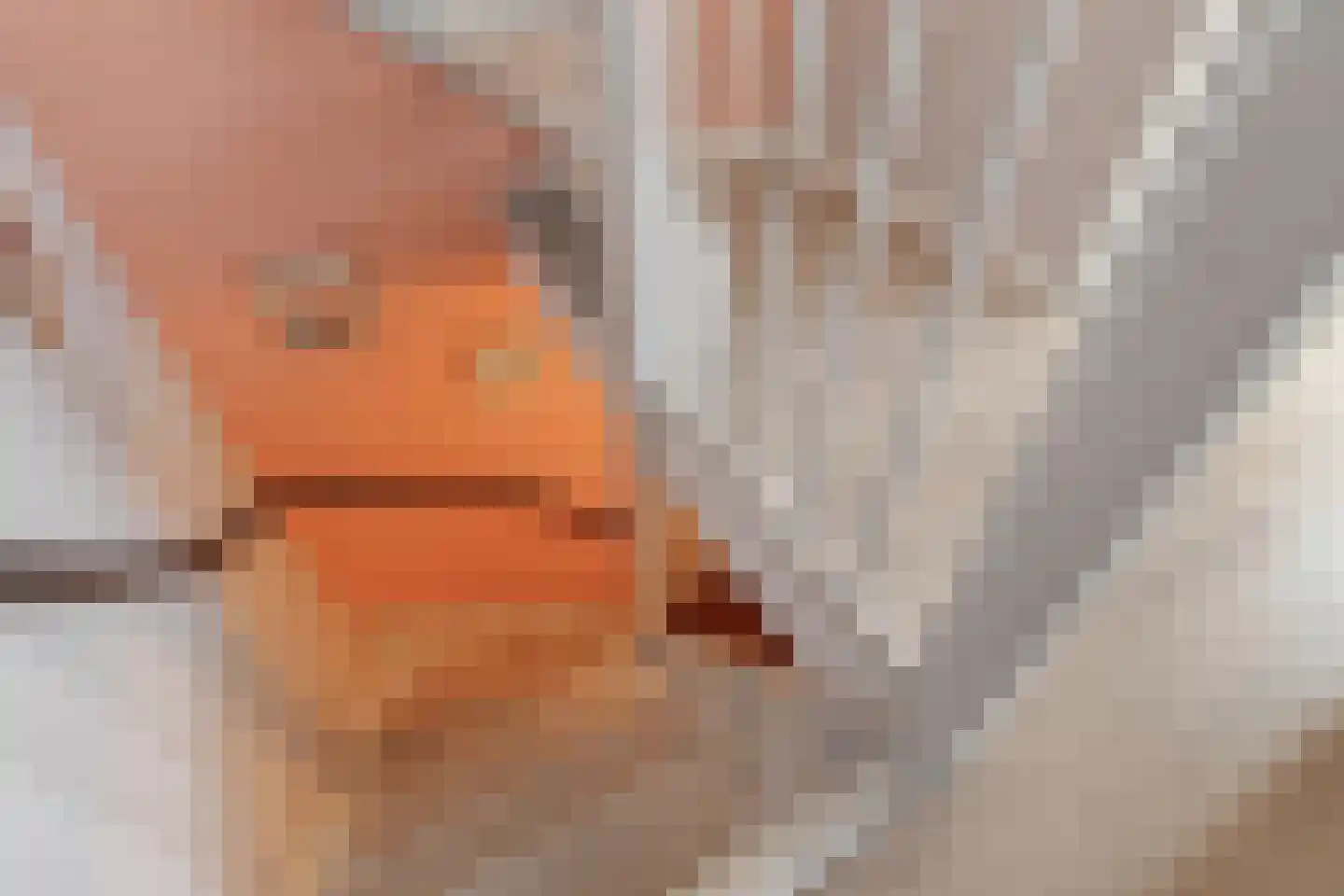 Elzent 27 Gemert thumbnail 24