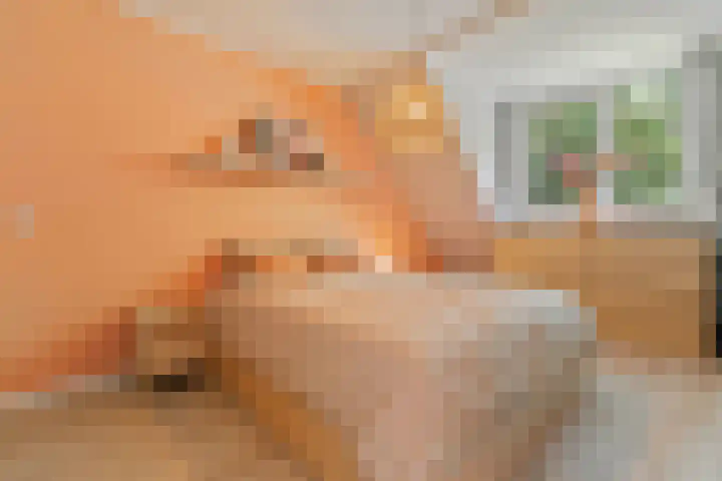 Elzent 27 Gemert thumbnail 25