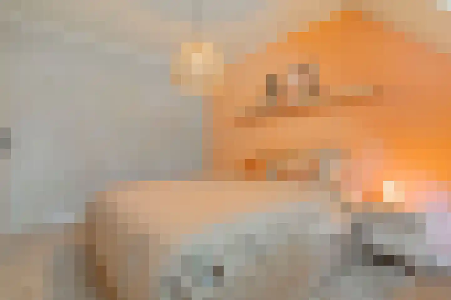 Elzent 27 Gemert thumbnail 26