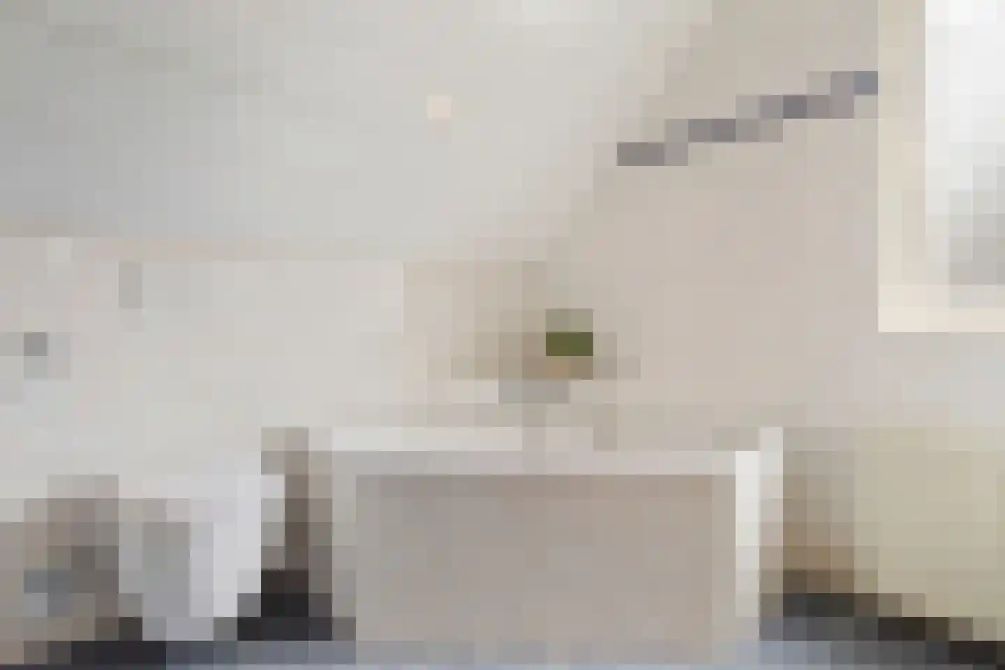 Elzent 27 Gemert thumbnail 32