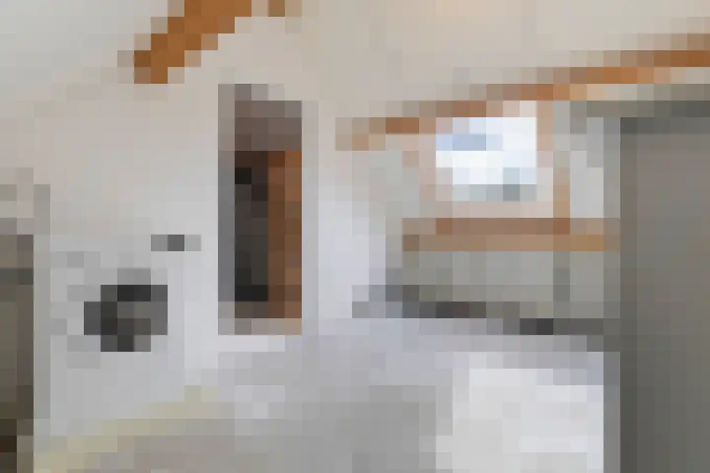 Elzent 27 Gemert thumbnail 37