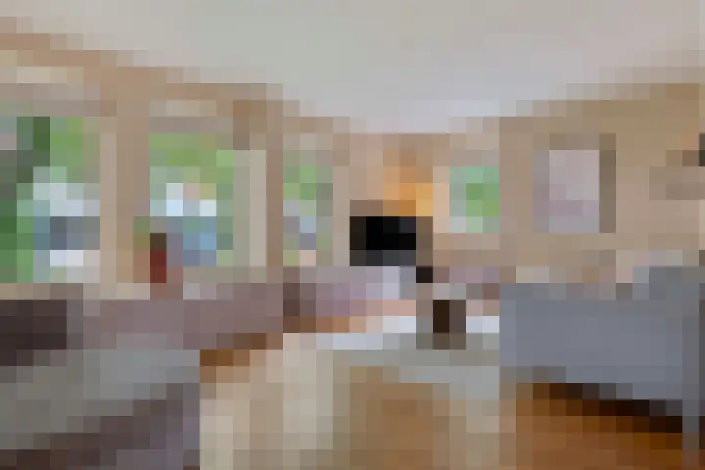 Elzent 27 Gemert thumbnail 4