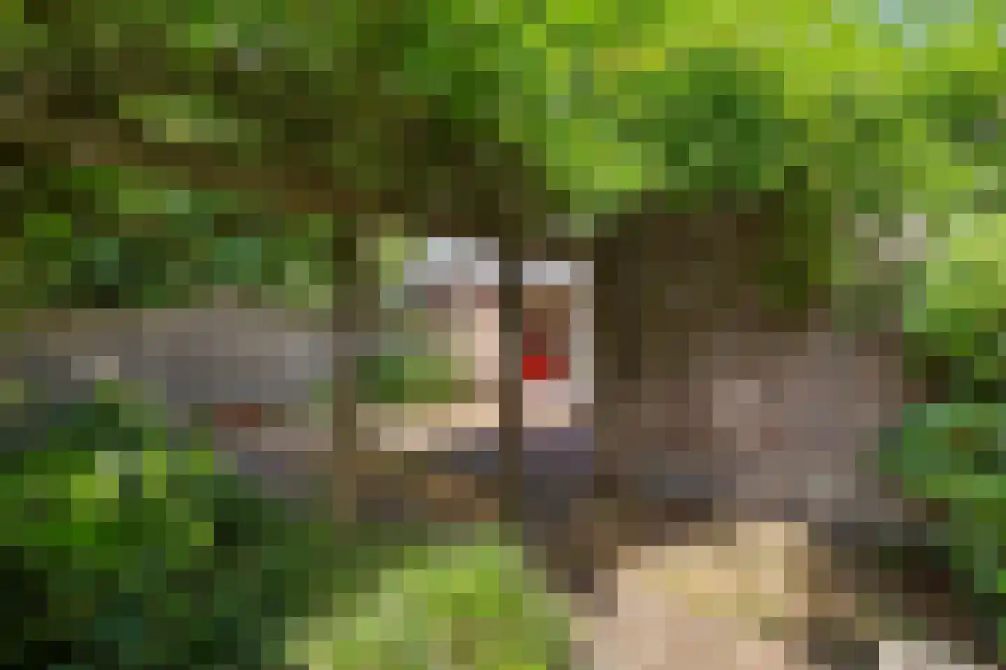 Elzent 27 Gemert thumbnail 40